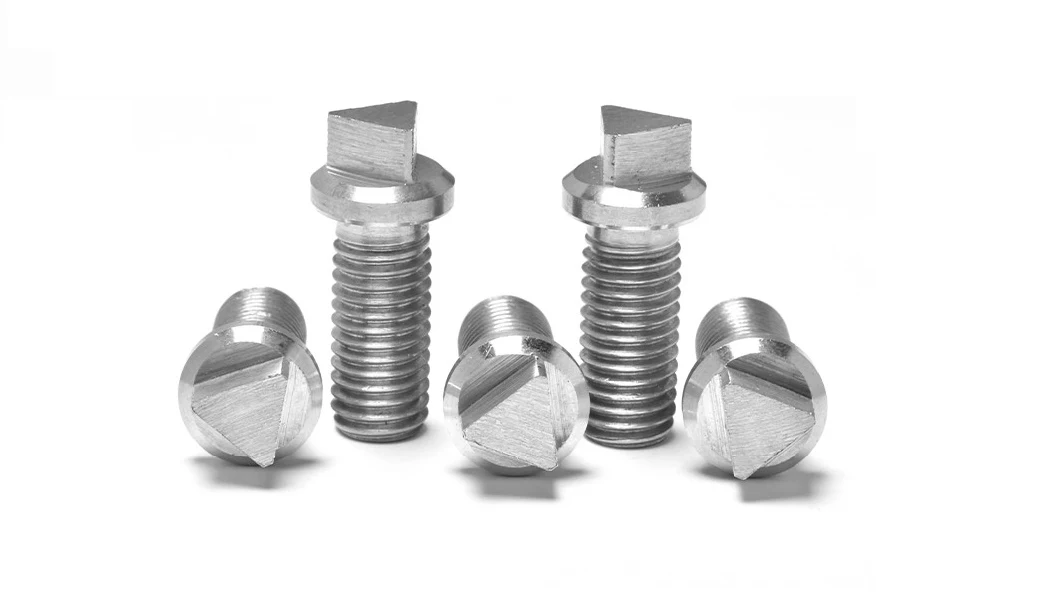 Stainless Steel Triangular Head Anti-Theft Screw