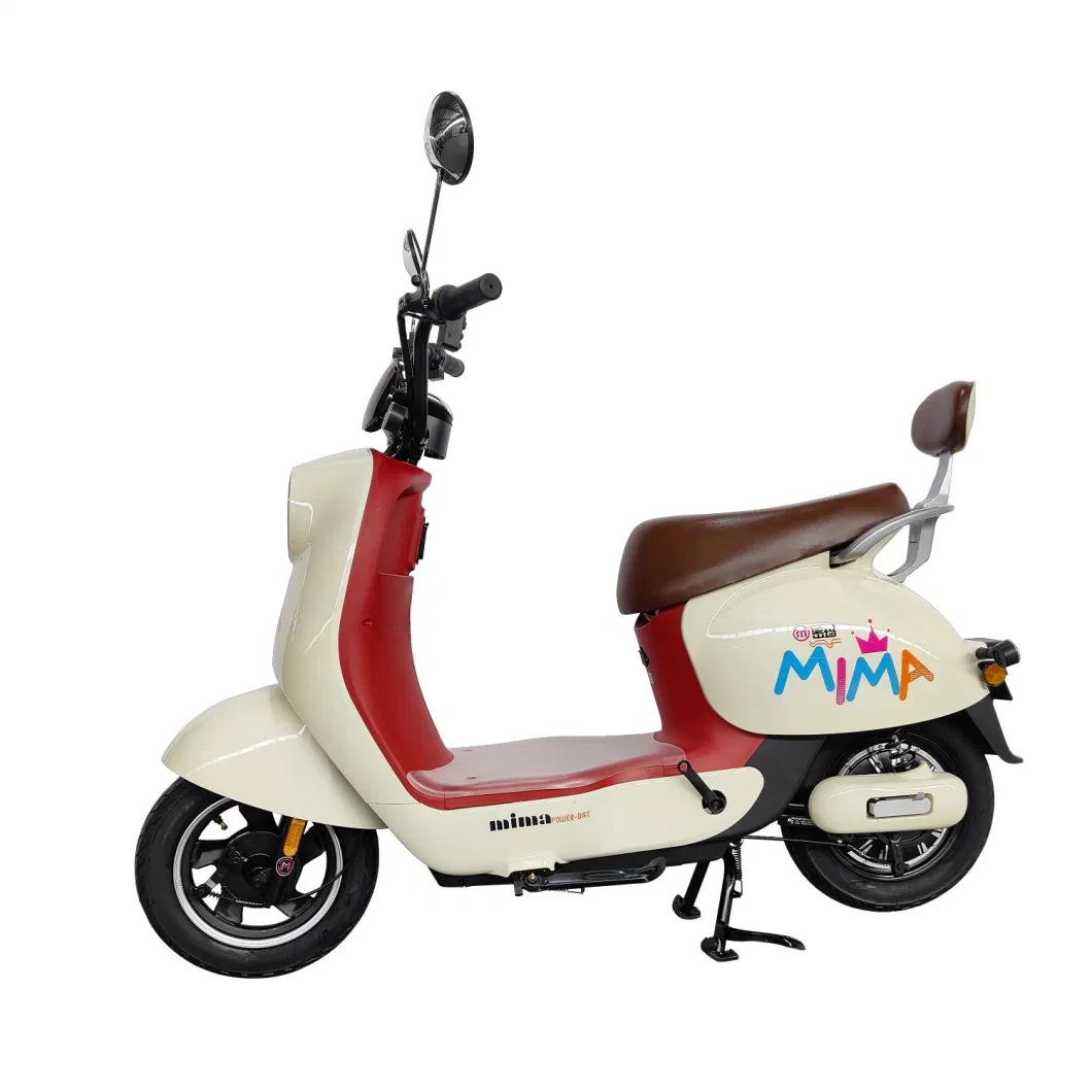 Willstar Ty588 Electric Moped/Electric Bicycle, Cute Streamlined Contour, Strong Power Motor 600W 48V20ah Chilwee Lead-Acid Battery