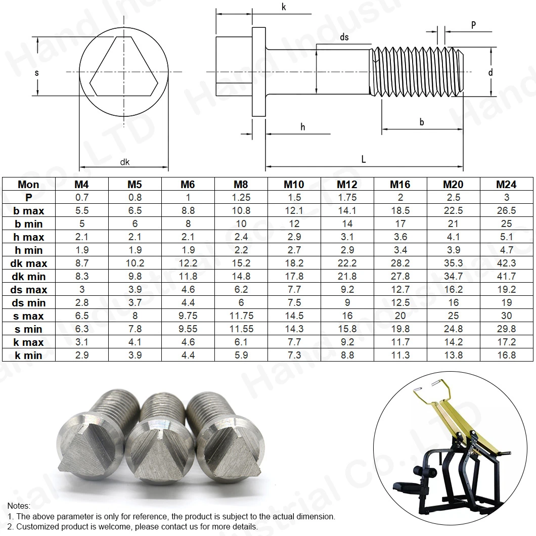 Stainless Steel Triangular Head Anti-Theft Screw