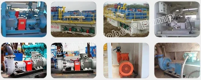 Tobee 3X2D-HH Centrifugal Slurry Pump for Long Distance Transport Lines Higher Head