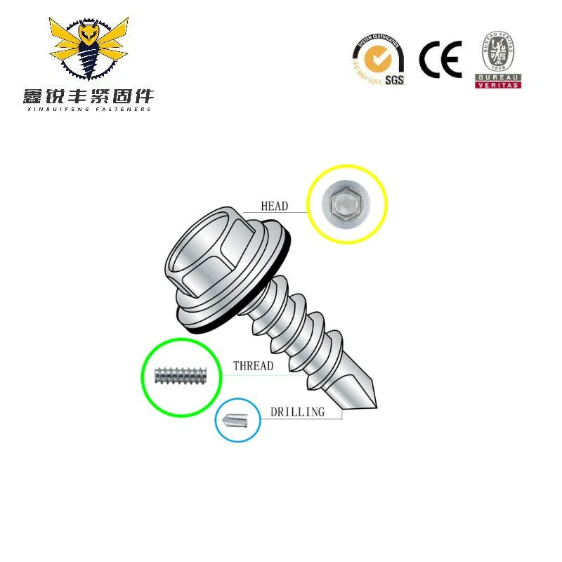 Roofing Screw Galvanized Hex Head with Big Flange SDS for Outdoor Use