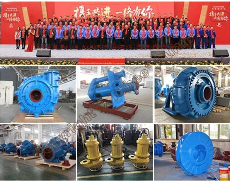 Tobee 3X2D-HH Centrifugal Slurry Pump for Long Distance Transport Lines Higher Head