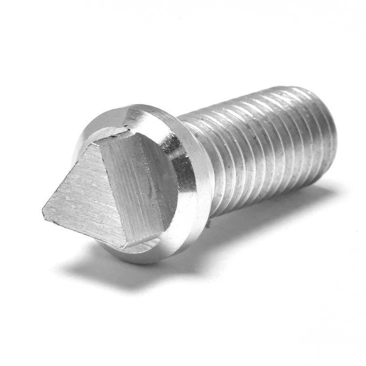 Stainless Steel Triangular Head Anti-Theft Screw