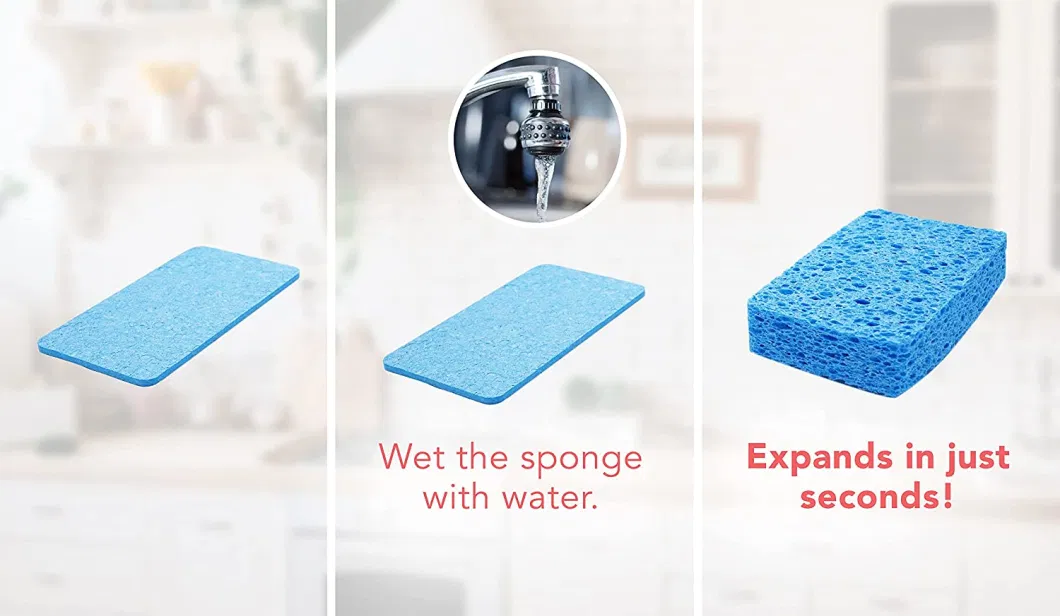 Kitchen Sponge Natural Sponges for Dishes Compressed Wood Pulp Sponges