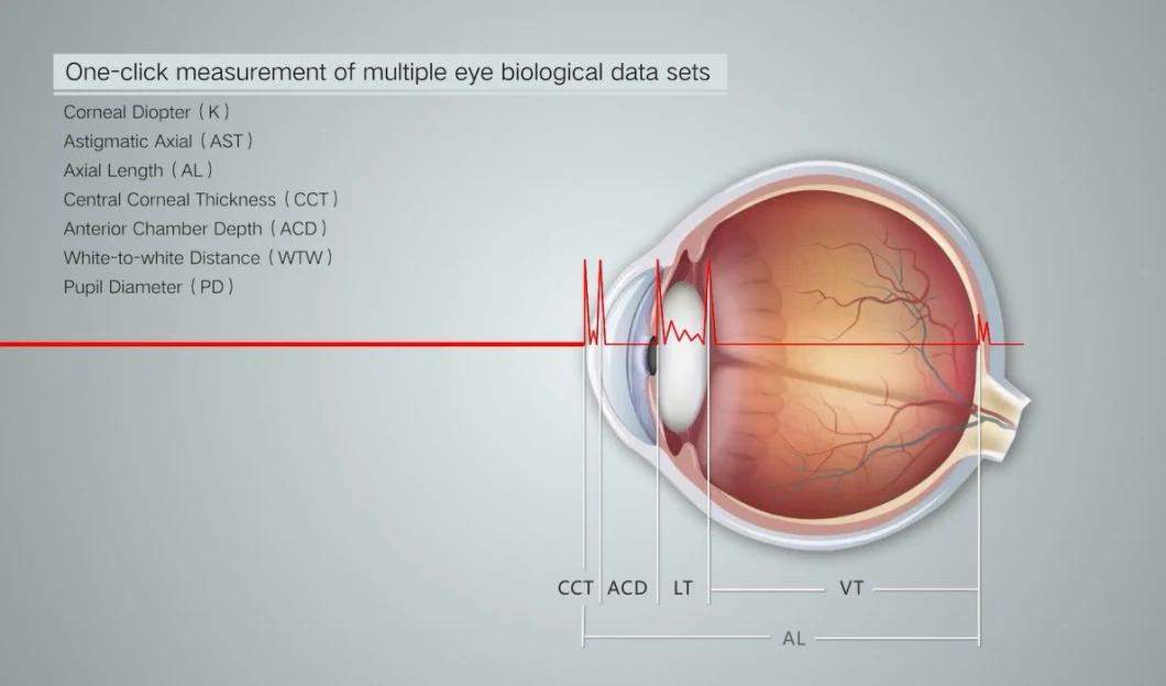 Optical Low-Coherence Refractometry Olcr Ophthalmic Optical Biometer