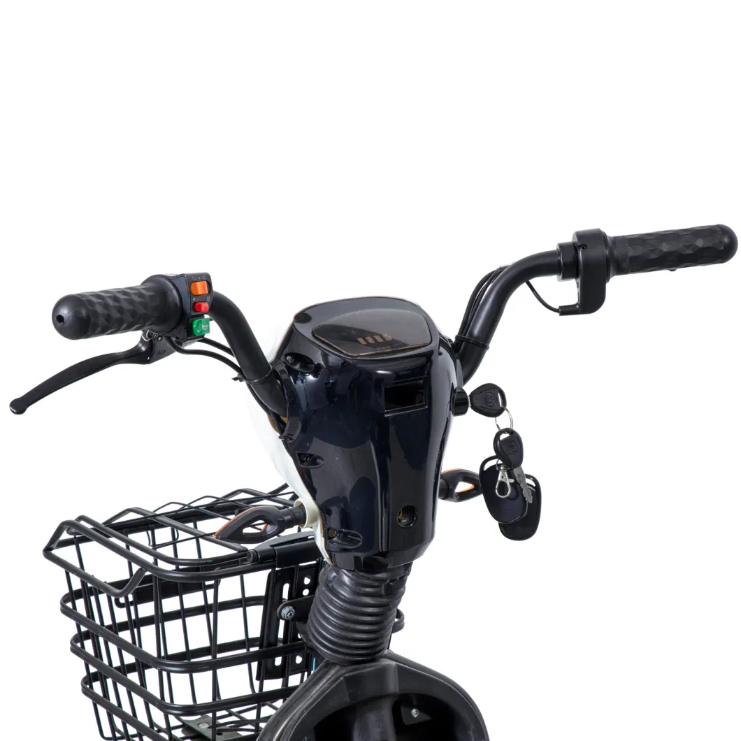 Latest Design of Large Size Electric Scooter, Driver Seat, High-Power Electric Moped