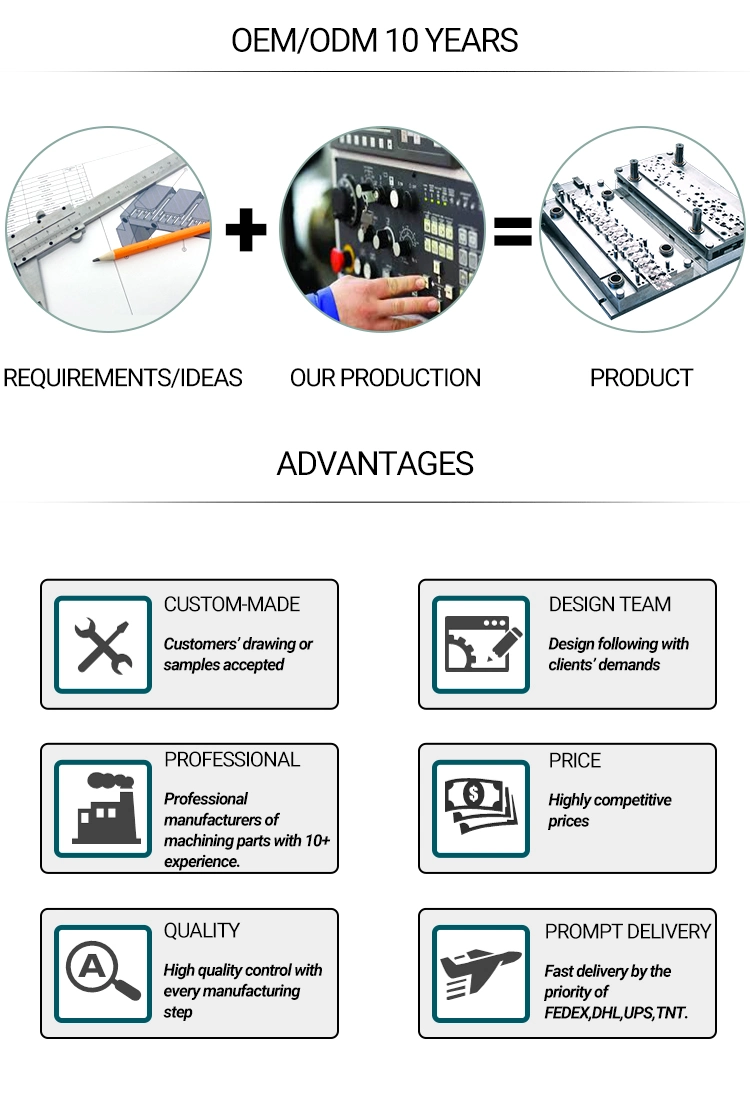 Non-Standard Industrial Precision Grinding Profile HSS Tungsten Carbide Metal Stamping Mold and Die Components