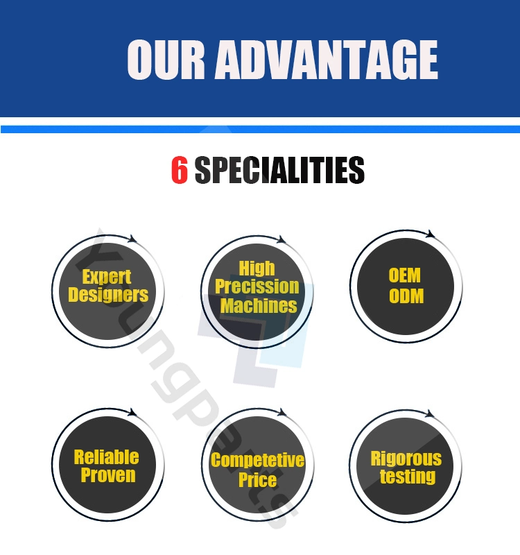Fast Delivery of Customized Sheet Metal Products with 100% Inspection Before Shipment