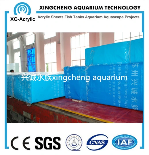 20mm to 650mm Thick Transparent Acrylic Sheet Aquarium Project