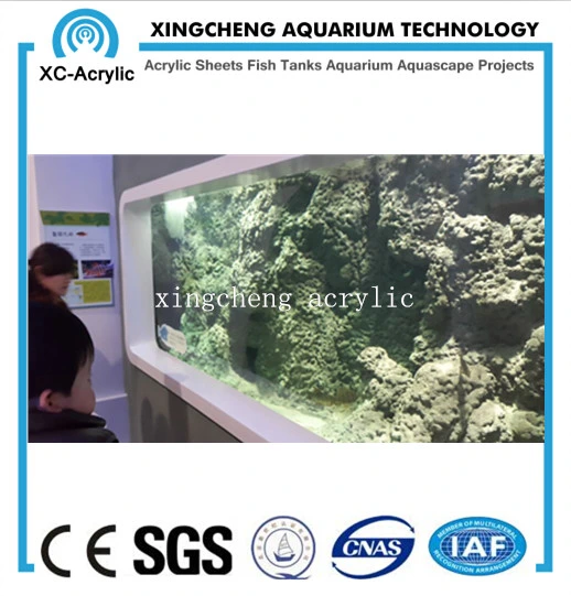 Customized Aquarium Sheet Acrylic Material Shark Tank Project