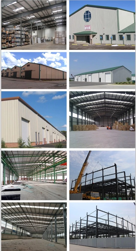 China Warehouse Workshop Metal Project Construction Company
