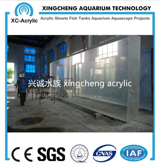 20mm to 650mm Thick Transparent Acrylic Sheet Aquarium Project