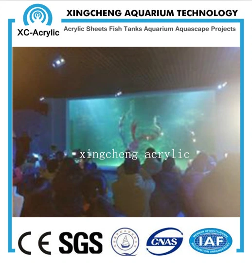 Aquaria Acrylic Window Wall Project Price