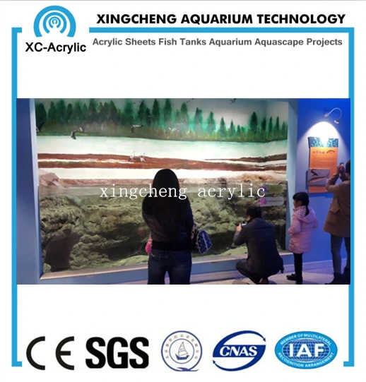 Customized Aquarium Sheet Acrylic Material Shark Tank Project