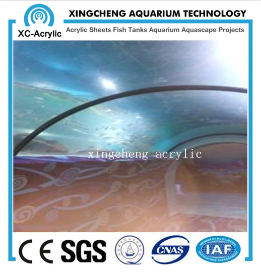 Aquaria Acrylic Window Wall Project Price