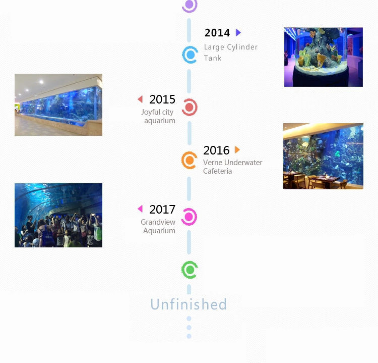 Customized Acrylic Material Curved Acrylic Sheet Aquarium Project Price