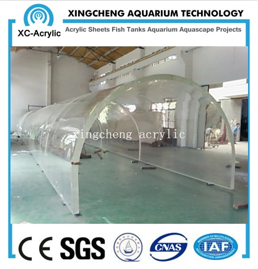 Customized Acrylic Material Curved Acrylic Sheet Aquarium Project