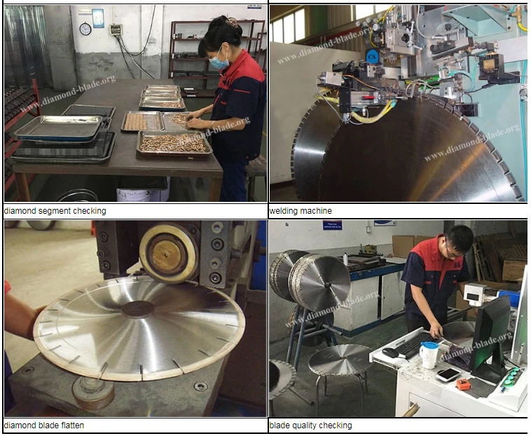 Quick Change Diamond Grinding Plate for Cassani Concrete Floor Grinding Machine