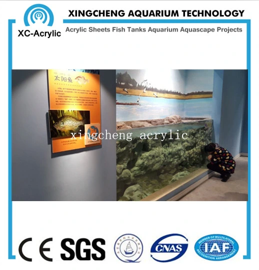 Customized Aquarium Sheet Acrylic Material Shark Tank Project