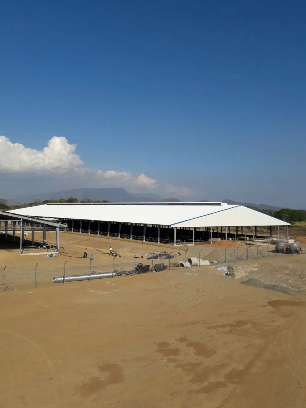 Prefabricated Steel Structure Cow Feeding Shed for Papua New Guinea Clients