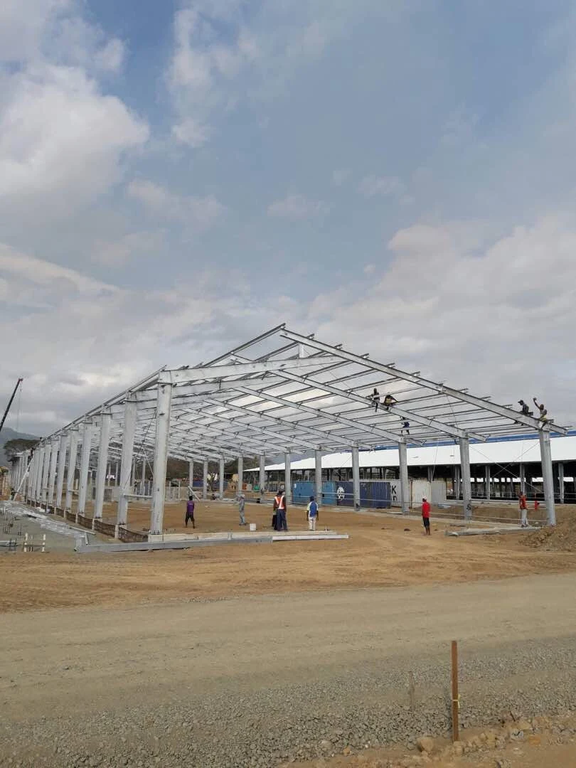 Prefabricated Steel Structure Cow Feeding Shed for Papua New Guinea Clients