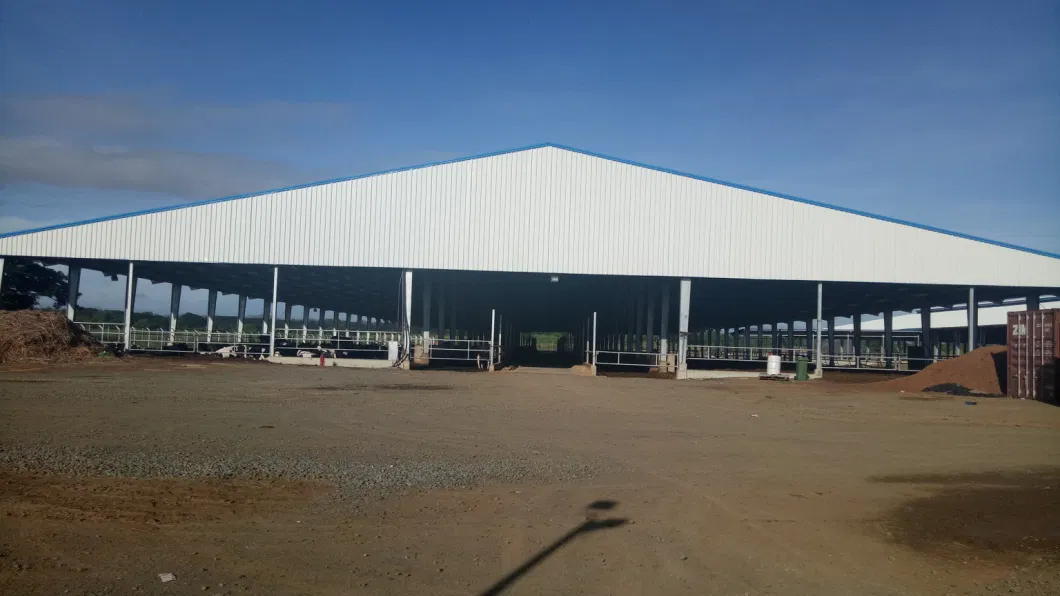 Prefabricated Steel Structure Cow Feeding Shed for Papua New Guinea Clients