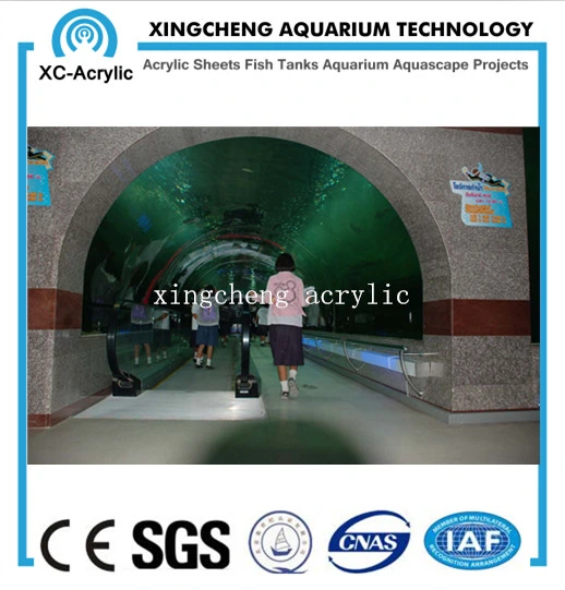 Customized Acrylic Material Curved Acrylic Sheet Aquarium Project Price