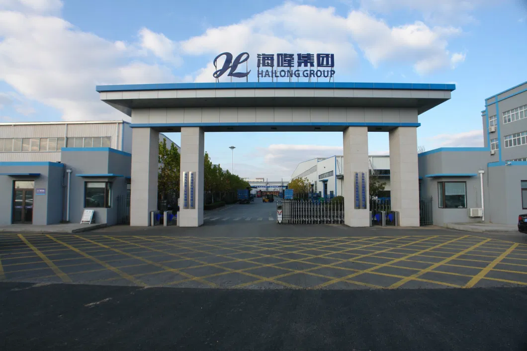 Hailong Group Processing High Precision Metal Stamping Parts OEM Steel Stamping