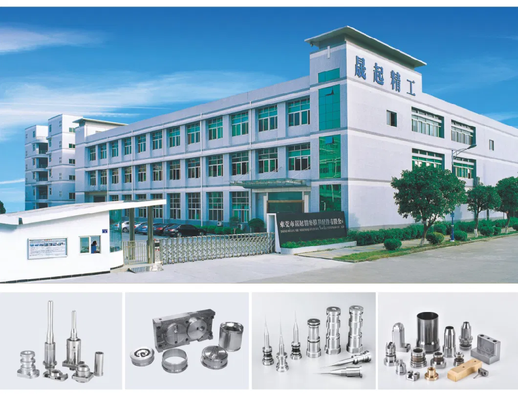 Custom Molding Service Precision Injection Molding Molds Making/Plastic Injection Mold Part