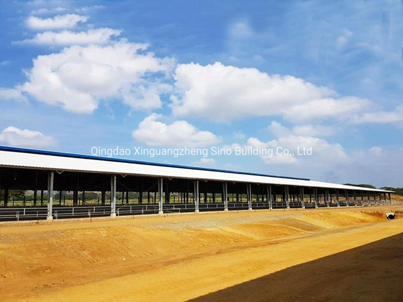 Prefabricated Steel Structure Cow Feeding Shed for Papua New Guinea Clients