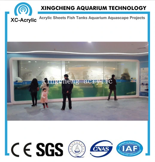Customized Aquarium Sheet Acrylic Material Shark Tank Project Price