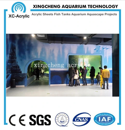 Customized Aquarium Sheet Acrylic Material Shark Tank Project