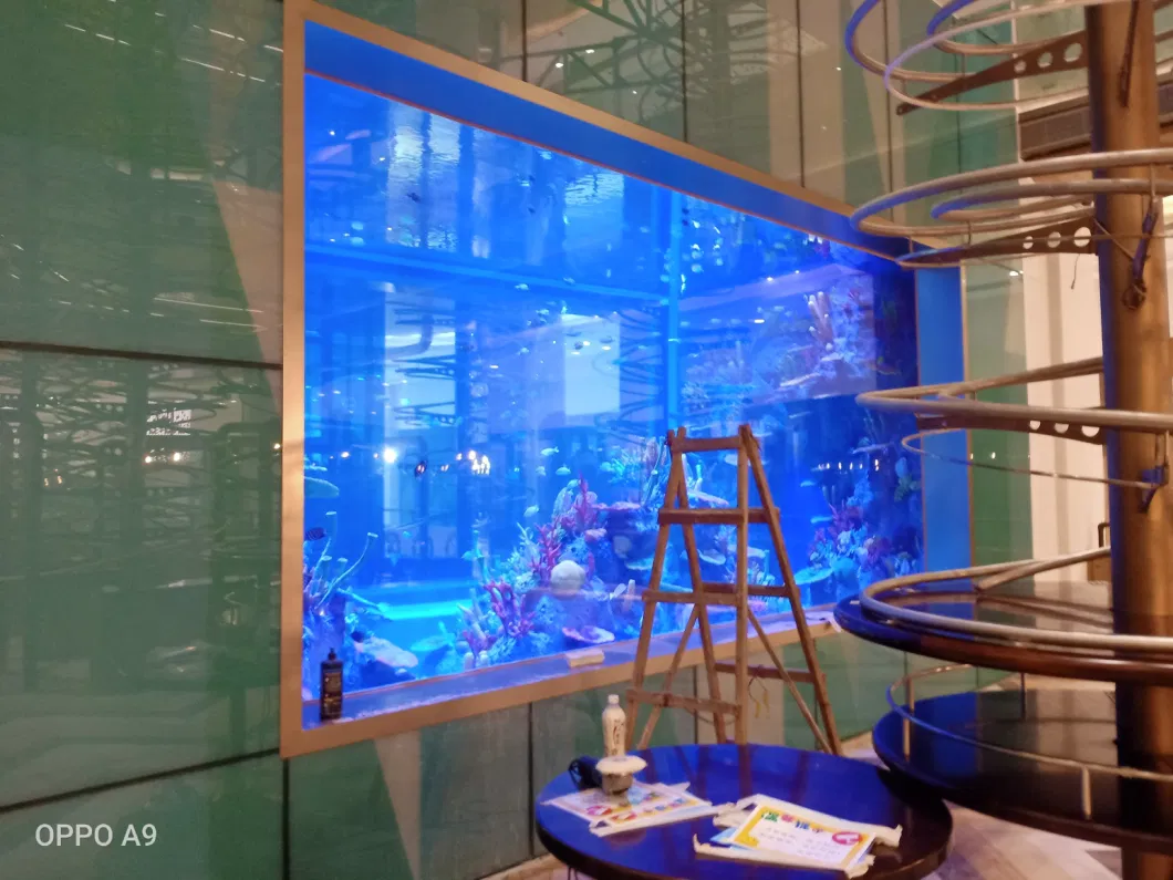 Acrylic Glass Sheet Panel Aquarium Project