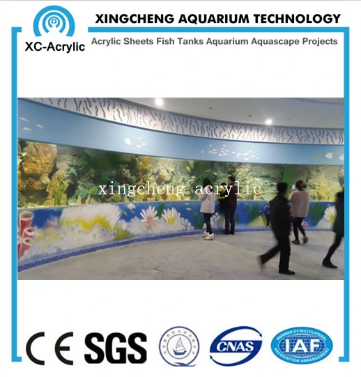 Customized Aquarium Sheet Acrylic Material Shark Tank Project Price