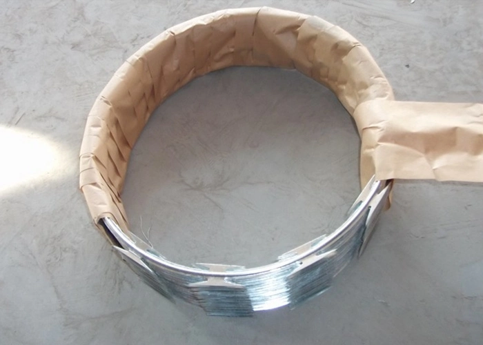 Hot Dipped Galvanized Bto 22 Razor Wire/Cbt 65 Razor Concertina Razor Wire