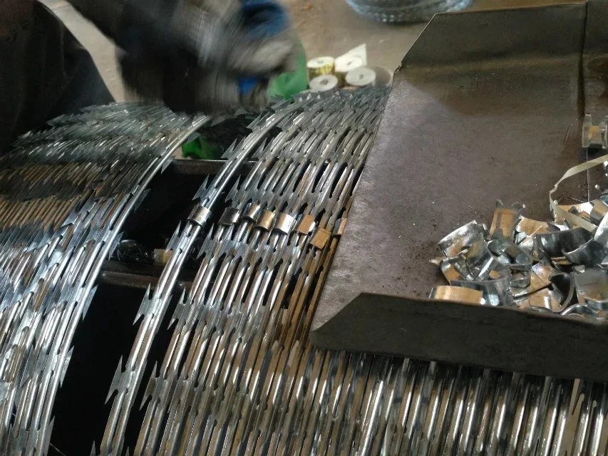 Hot Dipped Galvanized Razor Barbed Wire for Prison Protect Fence