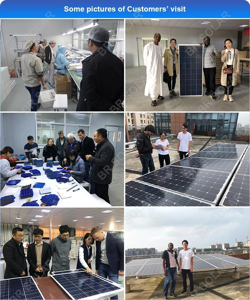 550W After Sales Service China Trina Suppliers Energy Solar Panel OEM Br-M550W