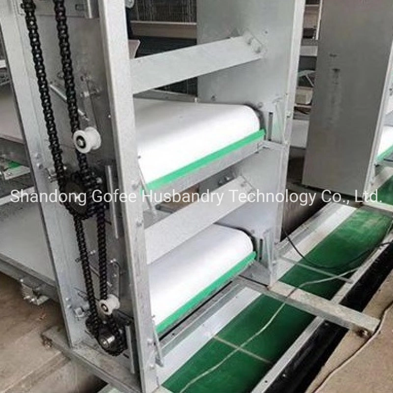 PP Manure Conveyor Belt for Poultry Equipment Chicken House