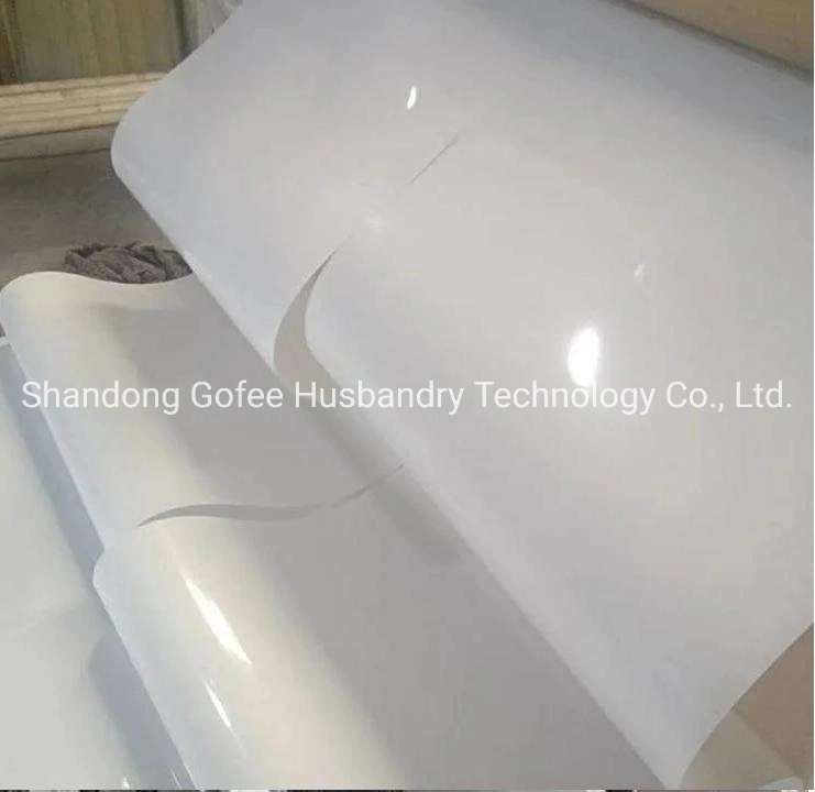 PP Manure Conveyor Belt for Poultry Equipment Chicken House