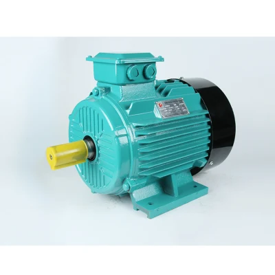  IE1, EFF2, IP 55, Klasse F Elektromotor Induktionsmotor 200kw Elektromotoren
