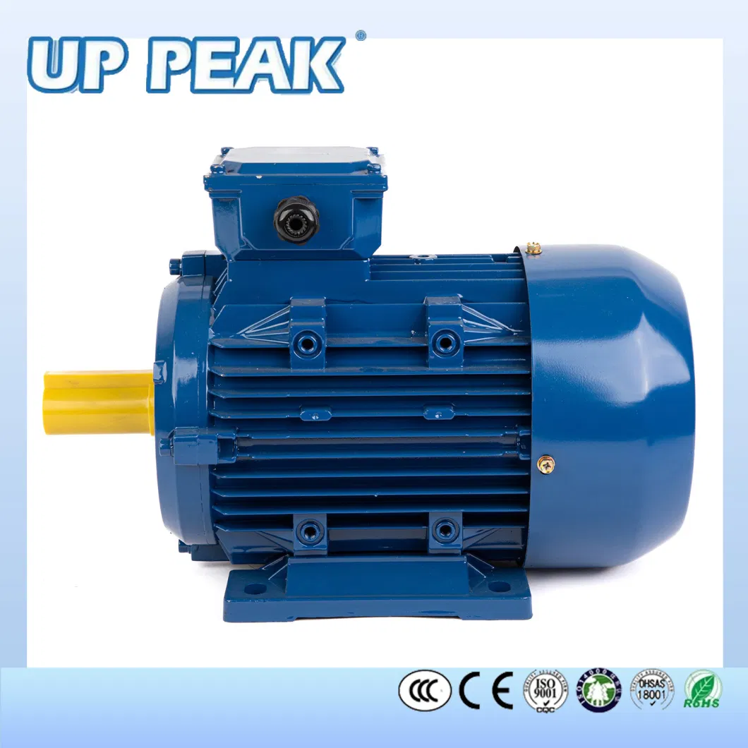 Ms Series Three-Phase Aluminium Housing with CE CCC Induction Electrical Motor
