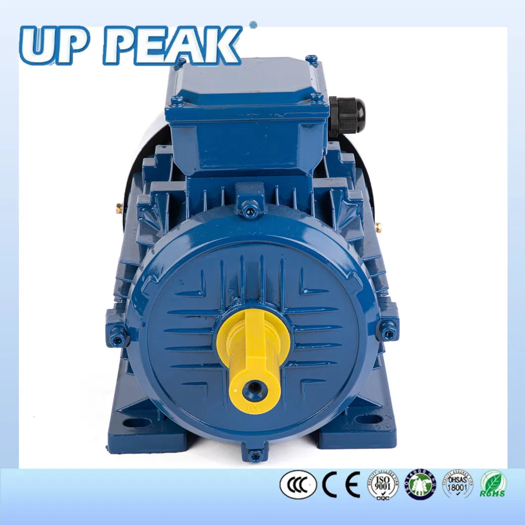 Ms Series Three-Phase Aluminium Housing with CE CCC Induction Electrical Motor