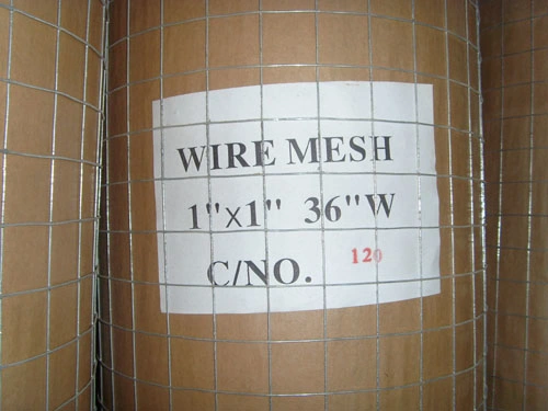 SGS ASTM Gi Electro Galvanized Welded Wire Mesh Panel