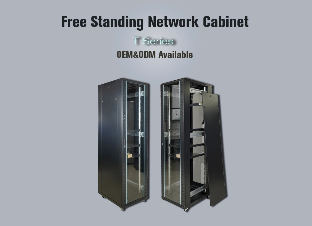 Professional Server Housing Lockable 19 Inch 42u Data Cabinet for Securities