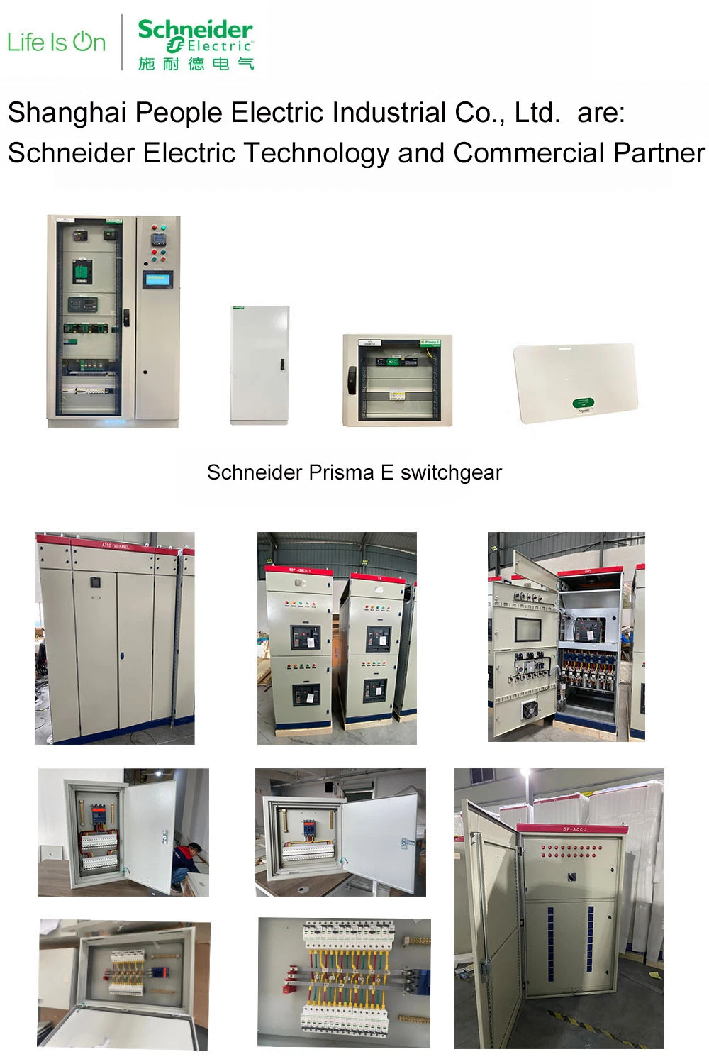 Schneider Control Panel Prisma E Electrical Rib Box 400V/440V/50Hz/60zh/100A/150A/160A/125A/200A/250A/400A/630A