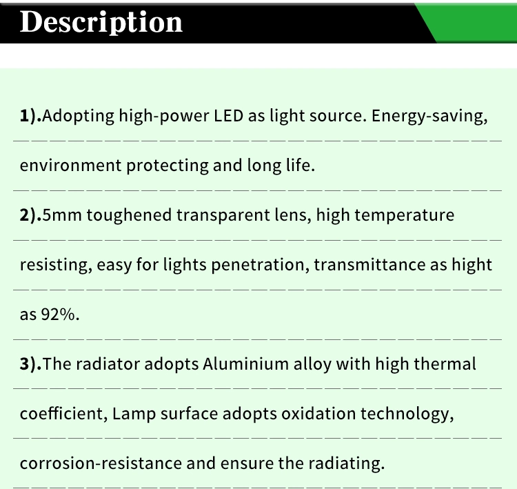 LED Street Light Area Lighting 24W 40W 60W 100W 200W 240W Class Ll Driver Street Light for Road 5 Years Warranty