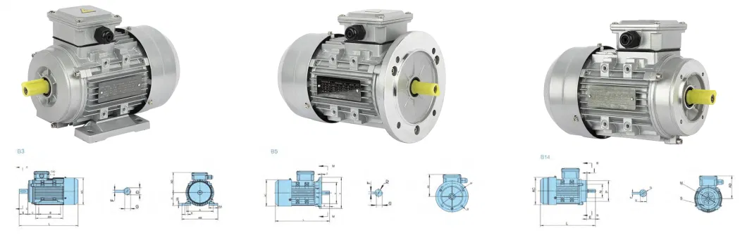 Ys/Ms B14 1/3HP Asynchronous Induction Electrical Motor Aluminium Housing