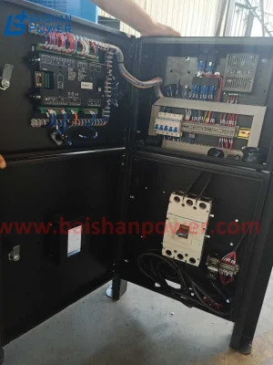 Alta calidad personalizado Tipo silencioso Canopy controlador de Genset Diesel Panel del armario de Insonorización del generador