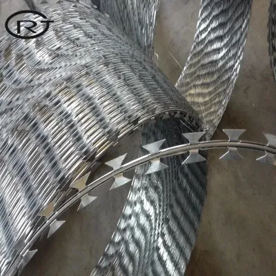 /Galvanizado recubierto de PVC/Acero Inoxidable Concertina maquinilla de afeitar el alambre de púas