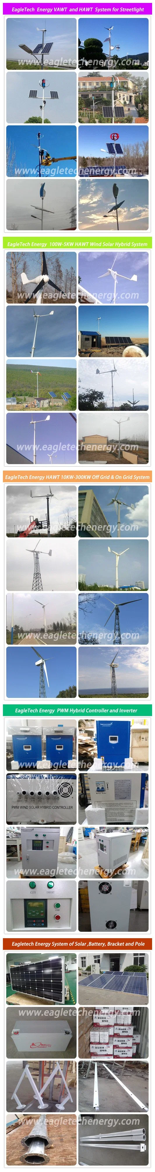 2kw+600W High Efficiency Wind Solar Power Hybrid System (2.6KW) Home Use Wind Power Generator Wind Turbine and Solar Power System Hybrid Power